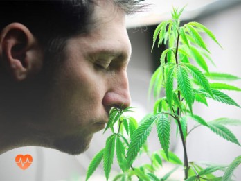 Детоксикация от марихуаны в Калге